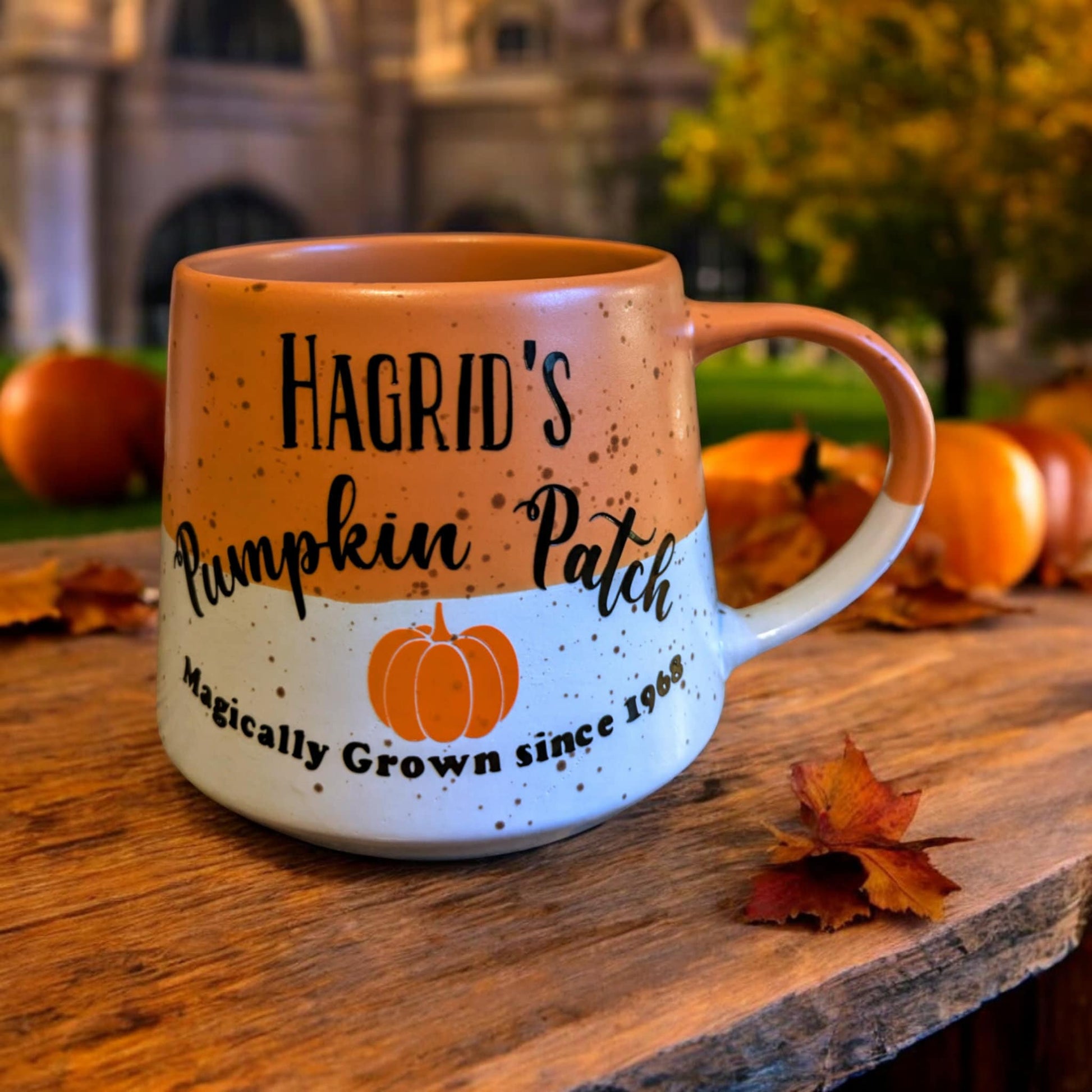Harry Potter autumn mug